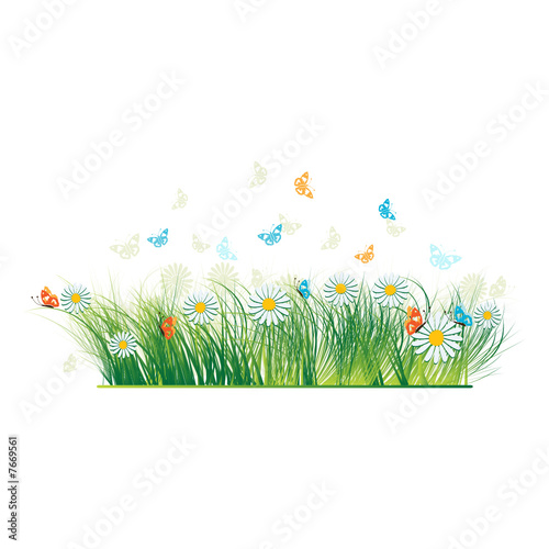 Grass silhouette green, summer background