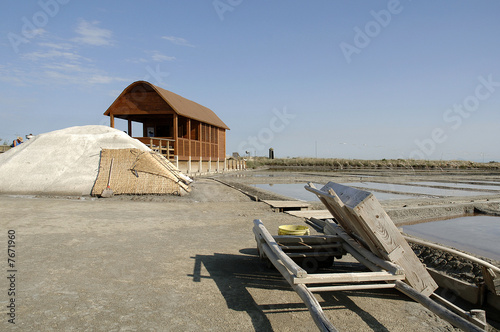 Obraz na plátně saline