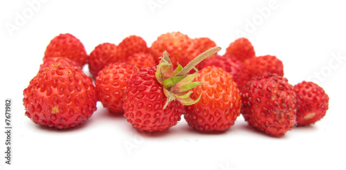 Wild strawberries isolated on white background