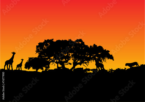 illustration of a giraffe with sunset background