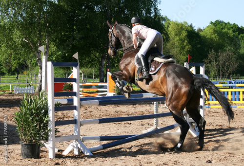 springreiten