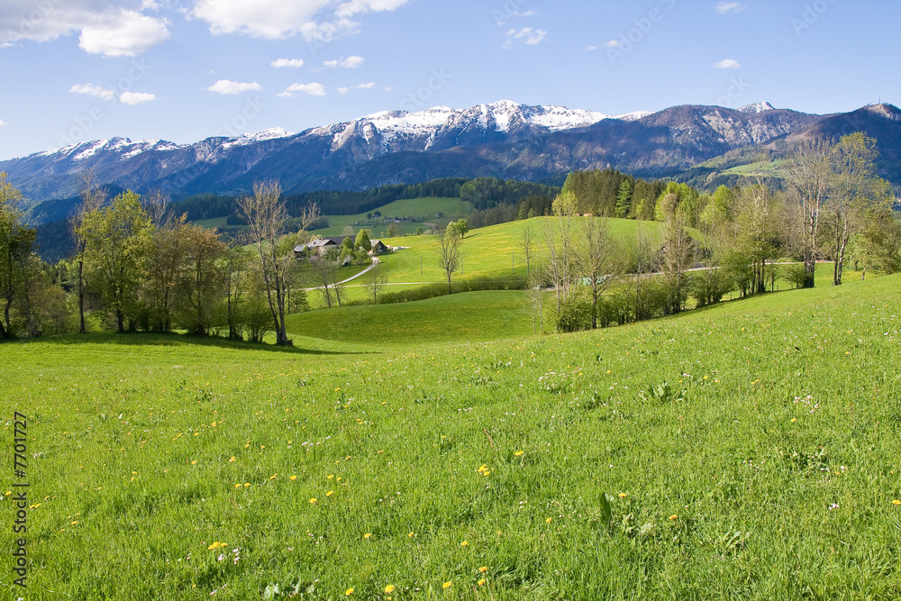 alpine farm land in austria