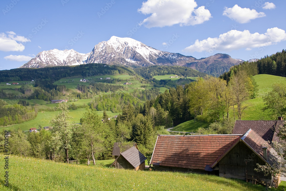 alpine landscape in the springtime