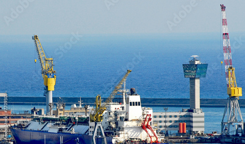 nave cargo e gasiera in dry dock photo