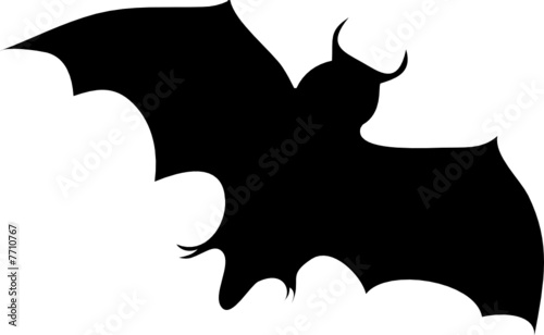 Fledermaus