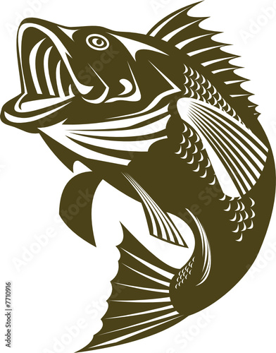 Largemouth bass