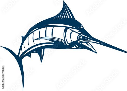 Blue marlin