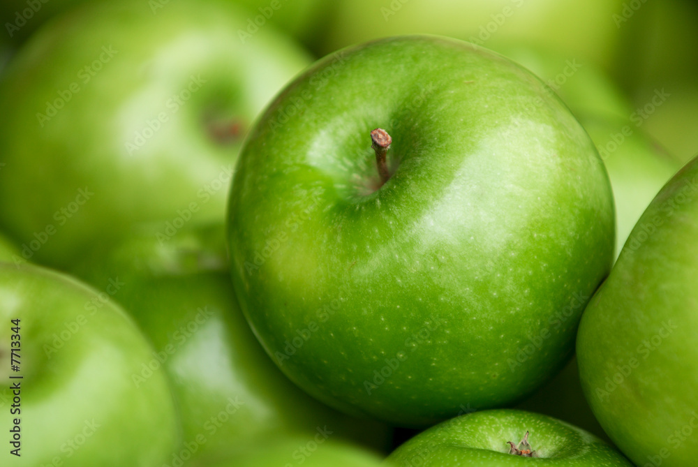 Autumn Harvest. Green delicious apples Autumn Harvest. Green delicious apples