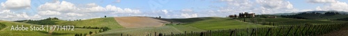 Chianti wein weinyard reeben Toscana Tuskany Classico photo