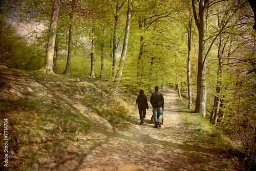 Family walk in the Beech forest. © Knud Nielsen
