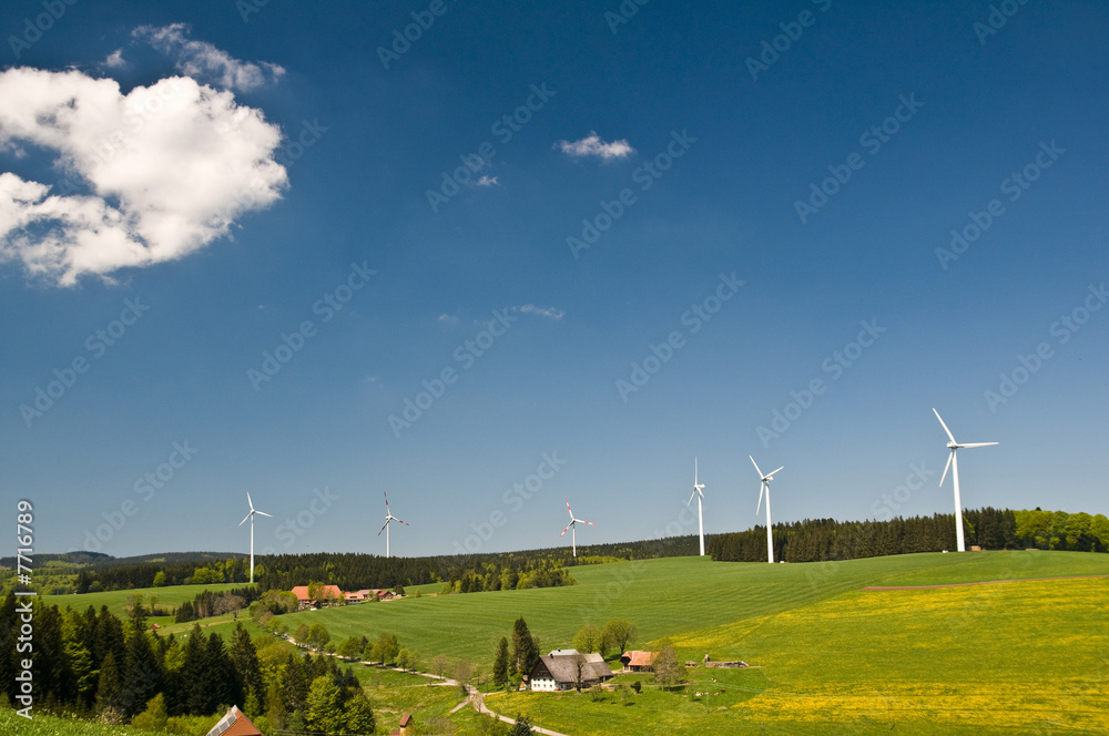 Fototapeta premium Windenergie