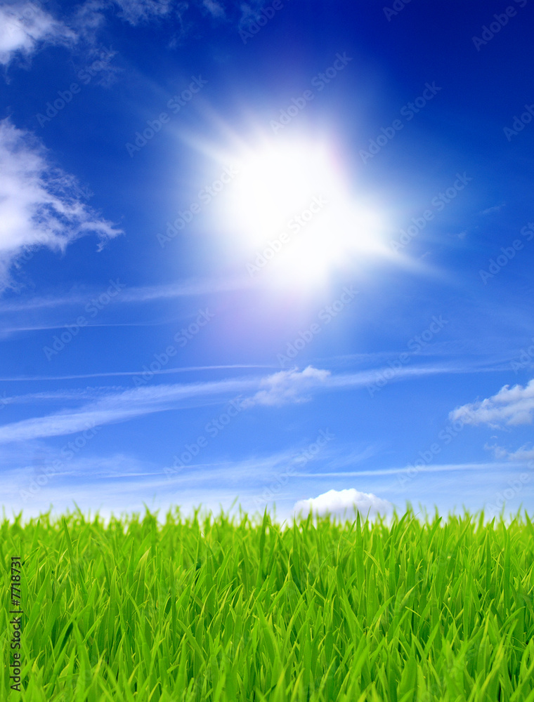 Grüne Wiese und blauer Himmel 2