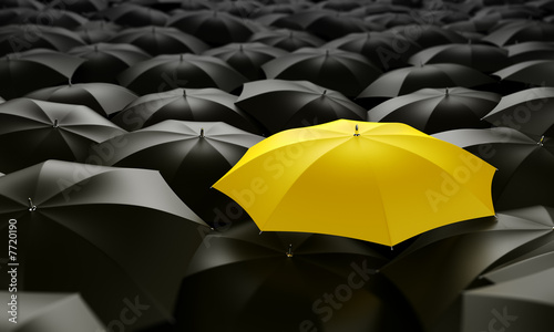yellow umbrella photo