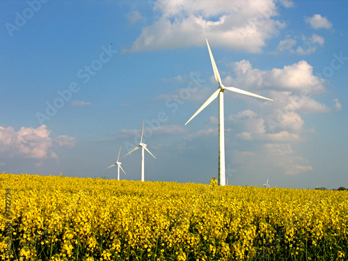 Wind turbines in rapes field - Alternative energy © Rony Zmiri