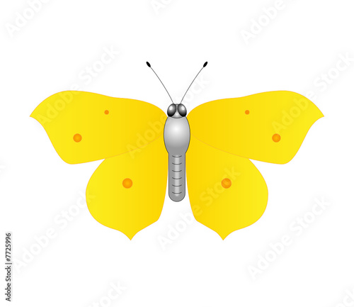 Schmetterling - gelb