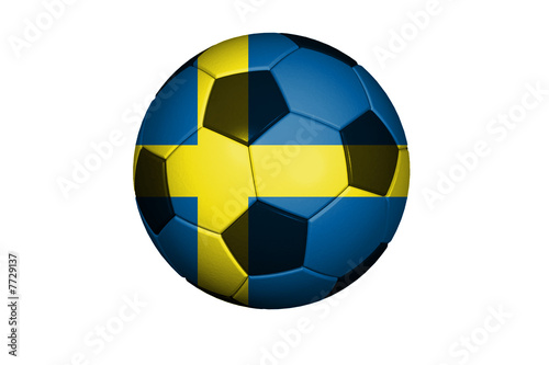 Schweden Fussball WM 2010
