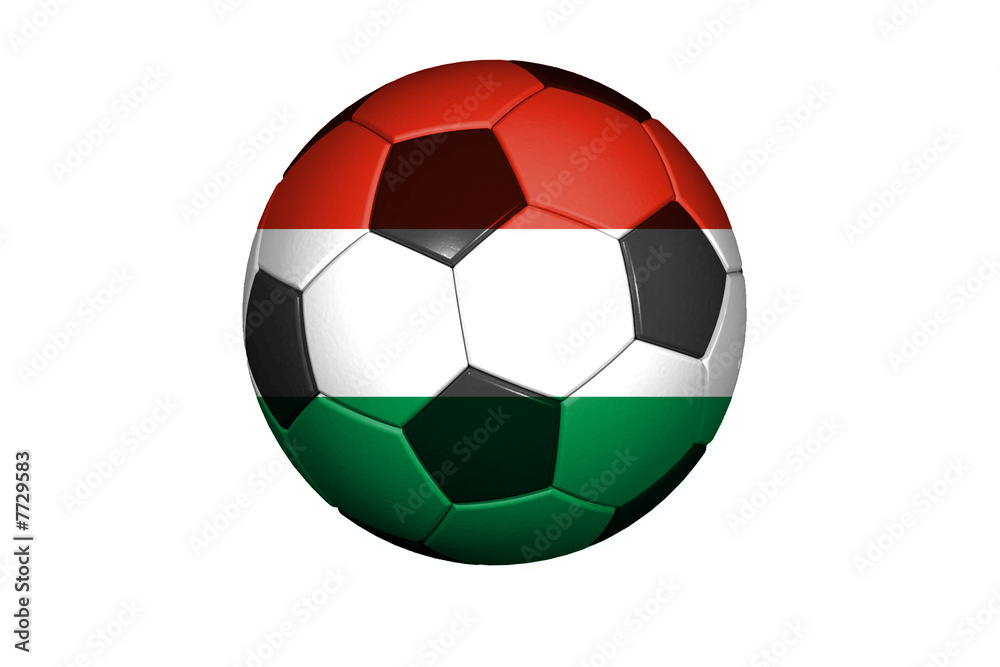 Ungarn Fussball WM 2010