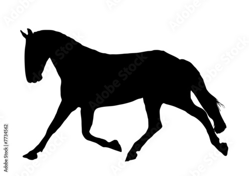 Fototapeta Naklejka Na Ścianę i Meble -  Horse 3