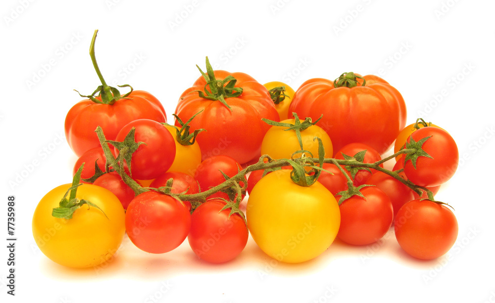 Tomatoes yellow and red isolated on white background Tomatoes yellow and red isolated on white background