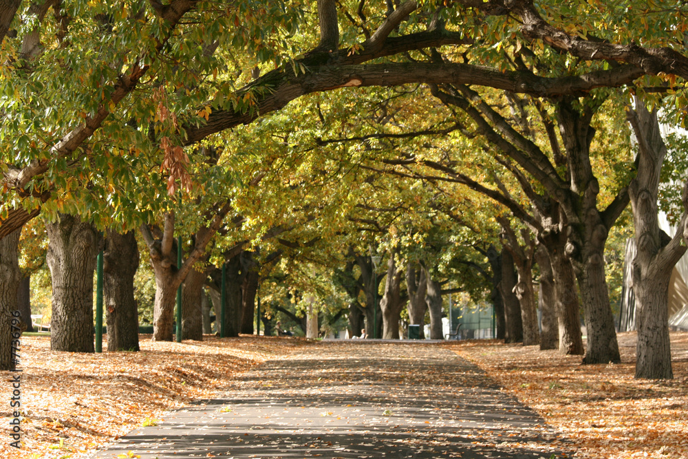 Naklejka premium Walkway, Carlton Gardens, Melbourne, Australia