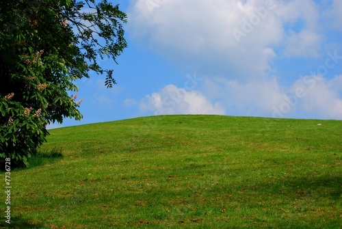 Hillside view