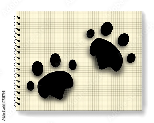 Animal footprints
