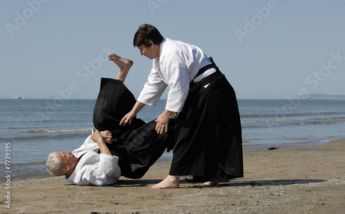 Billede på lærred aikido sur la plage