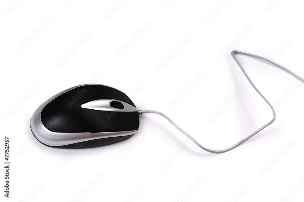 Computer mouse isolated on the white background Computer mouse isolated on the white background