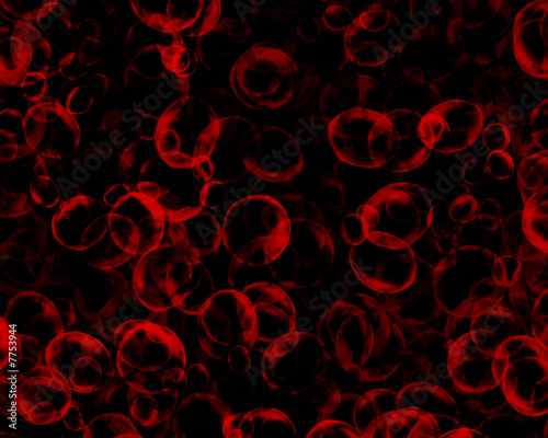Red blood cells © Argus