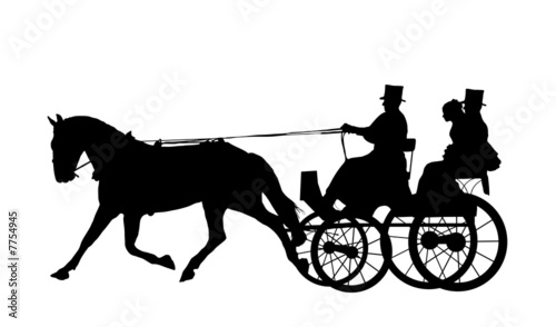 Horse And Carriage Wedding 5