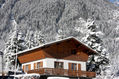Alpine cabin #7755940