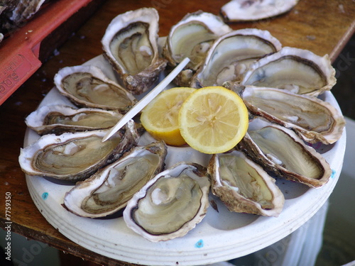 Canvastavla piatto di ostriche