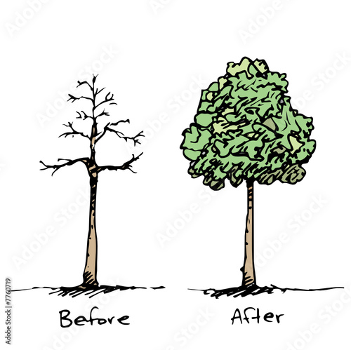 Wigs for Trees