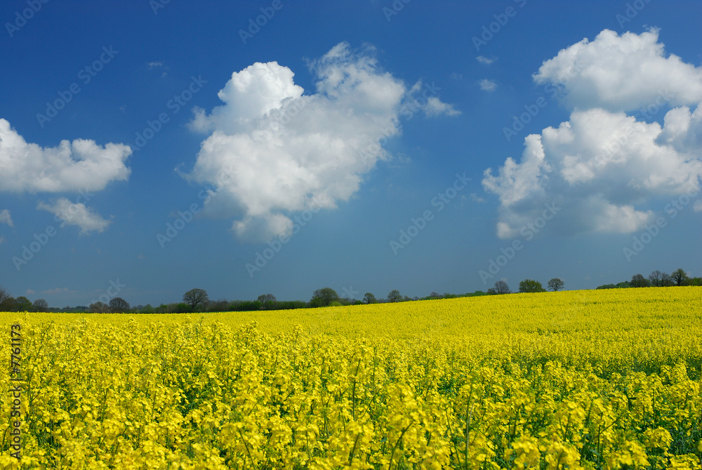 Landschaft im Frühjahr