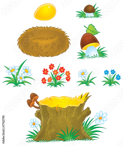 Mushrooms, flowers, stump a...