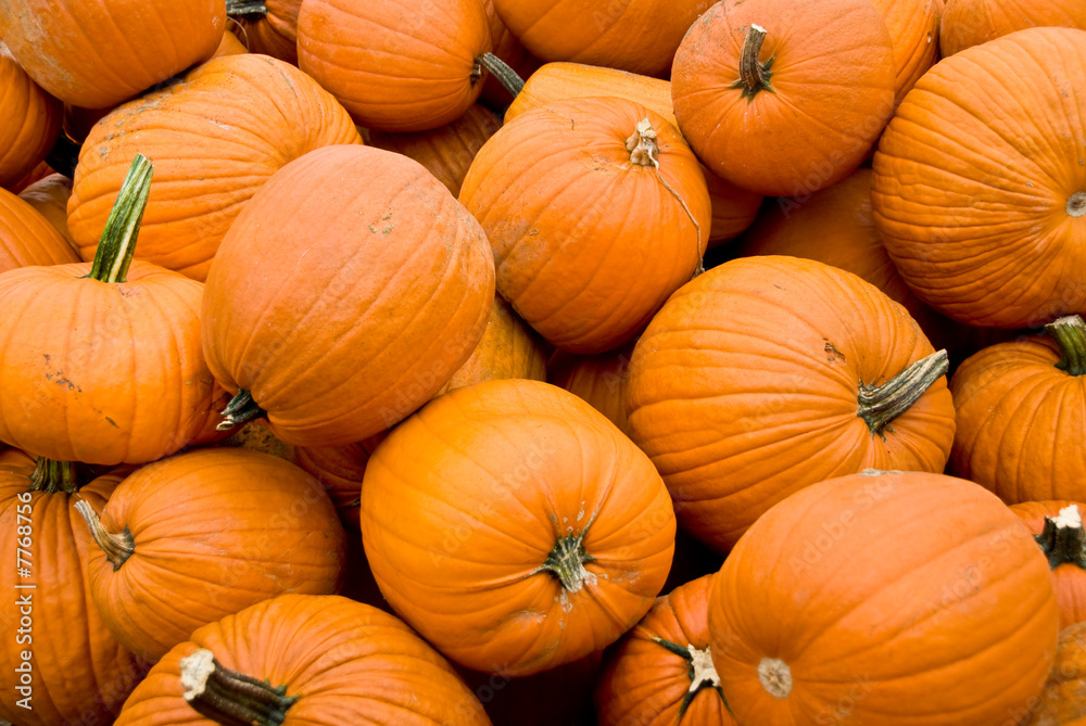 piles of pumpkins in the fall piles of pumpkins in the fall