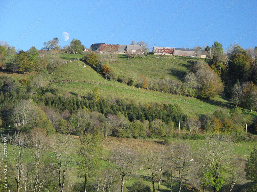 Naklejka premium Massif, central, Mont d’Or, Auvergne, volcan