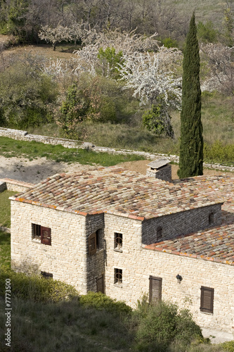 Maison provençale et cyprès