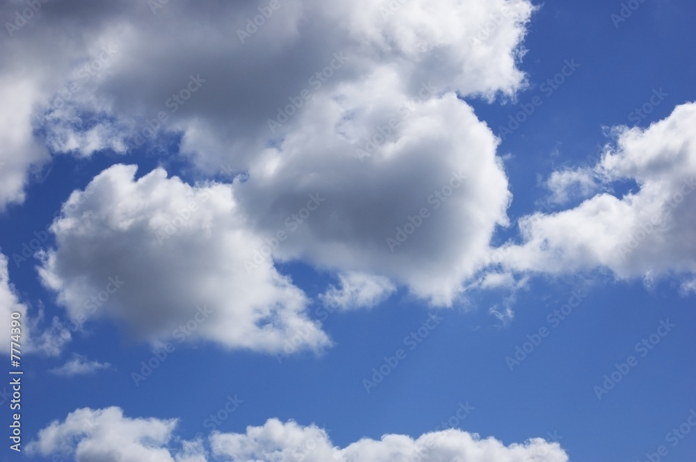 Fototapeta premium Blue sky with fluffy white clouds