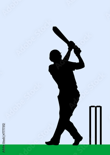 Cricket batsman in silhouette