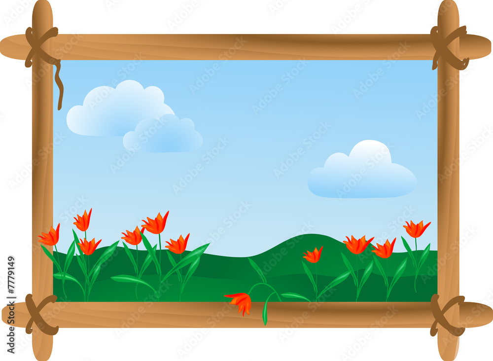 Fototapeta premium Summer meadow