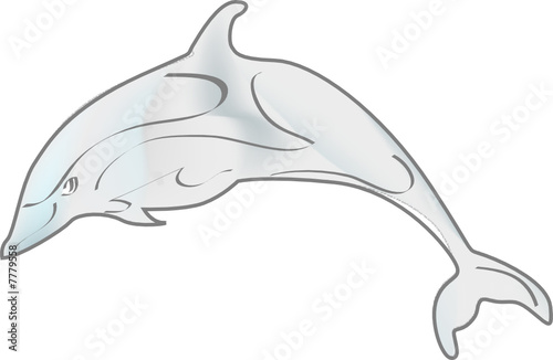 a0266 - Dauphin, orque, belouga