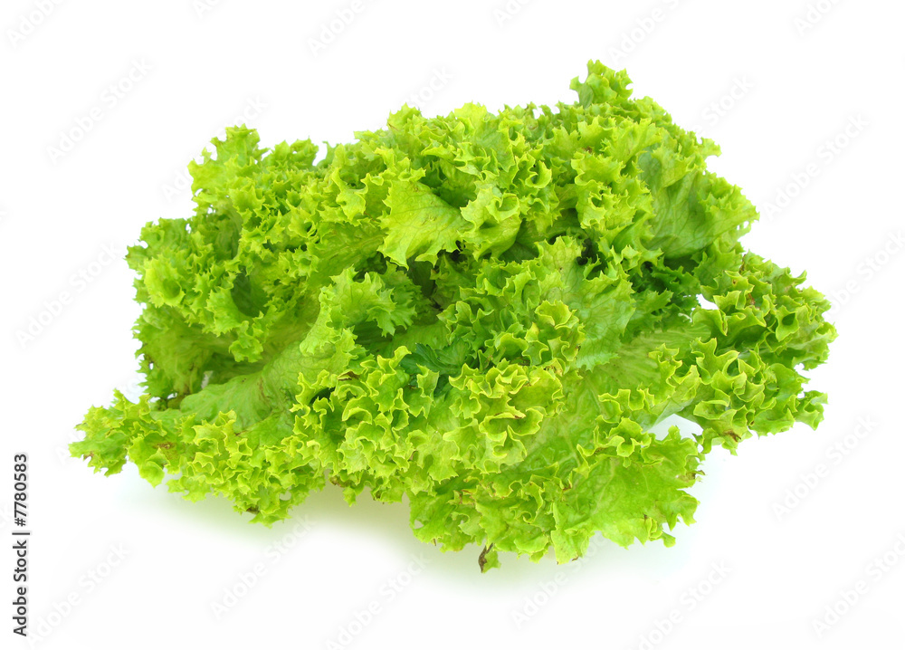Lettuce crisp perfect isolated on white background Lettuce crisp perfect isolated on white background