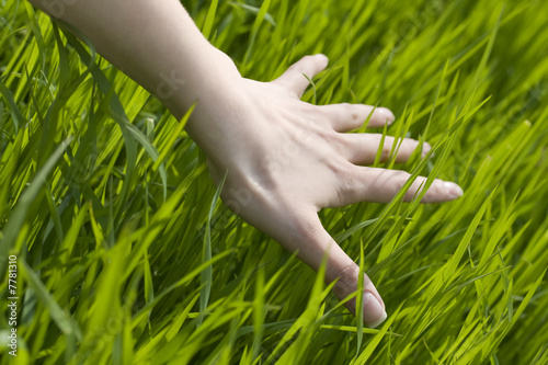 woman hand touching the grass