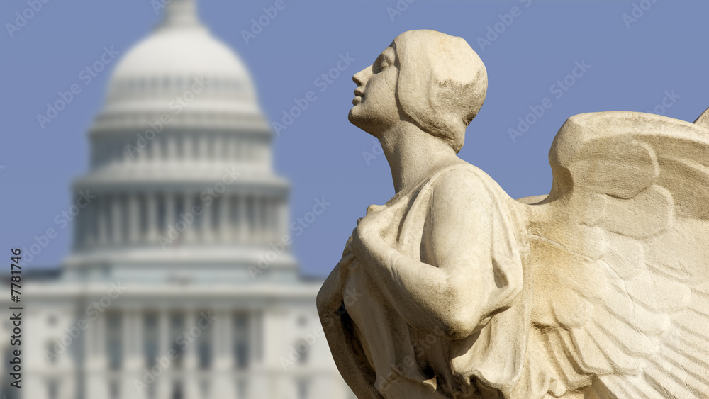 Obraz premium Capitol Democracy