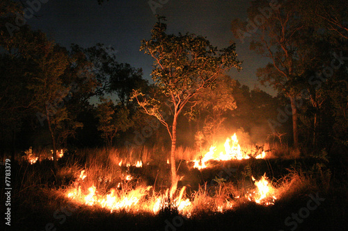 Bush Fire - The Red Centre, Australia