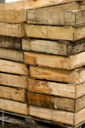 Wallpaper Mural Caisses de harengs ou sardines Torontodigital.ca