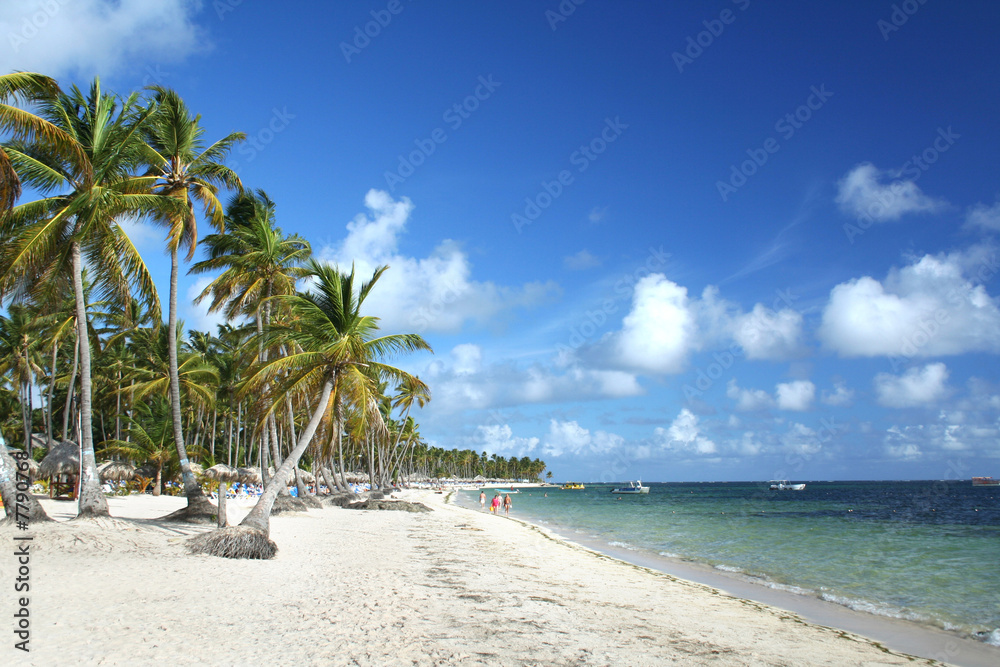 Resort beach in Punta Cana, Dominican Republic