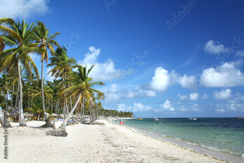 Resort beach in Punta Cana  Dominican Republic