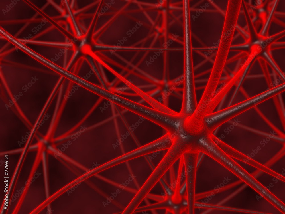 Fototapeta premium neuron